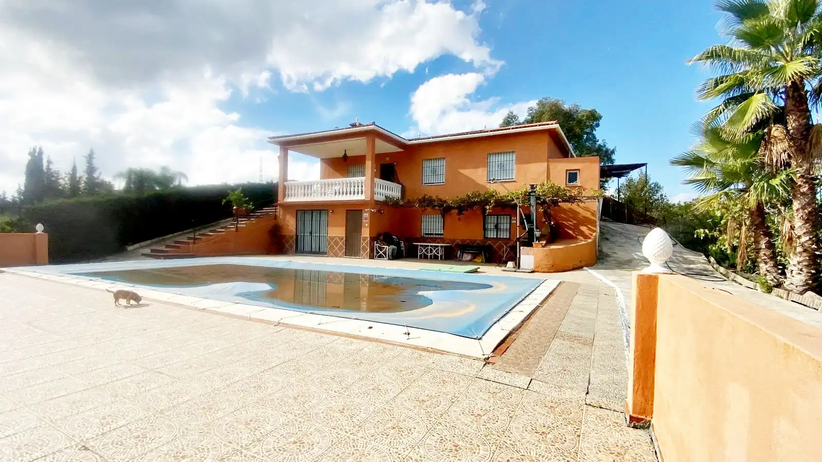 Vista exterior de Finca rústica en venda en Cártama amb Calefacció, Jardí privat i Terrassa