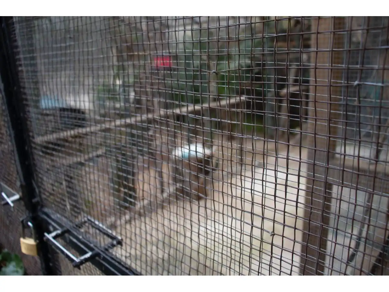 Maison avec piscine à vendre à Calle JOAQUIM MIR, imagen 19