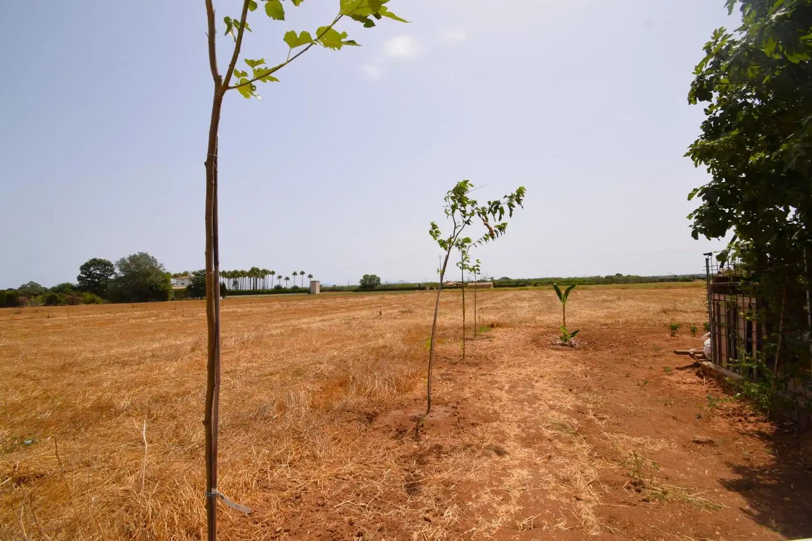 Finca rústica en venda en Sa Pobla amb Terrassa