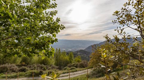 Photo 4 of Country homes for sale in Camino de la Sierra, Nigüelas, Granada