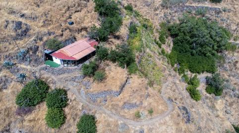 Foto 5 de Finca rústica en venda a  Polígono 11 Paraje 129 Estanco, Vega de San Mateo, Las Palmas