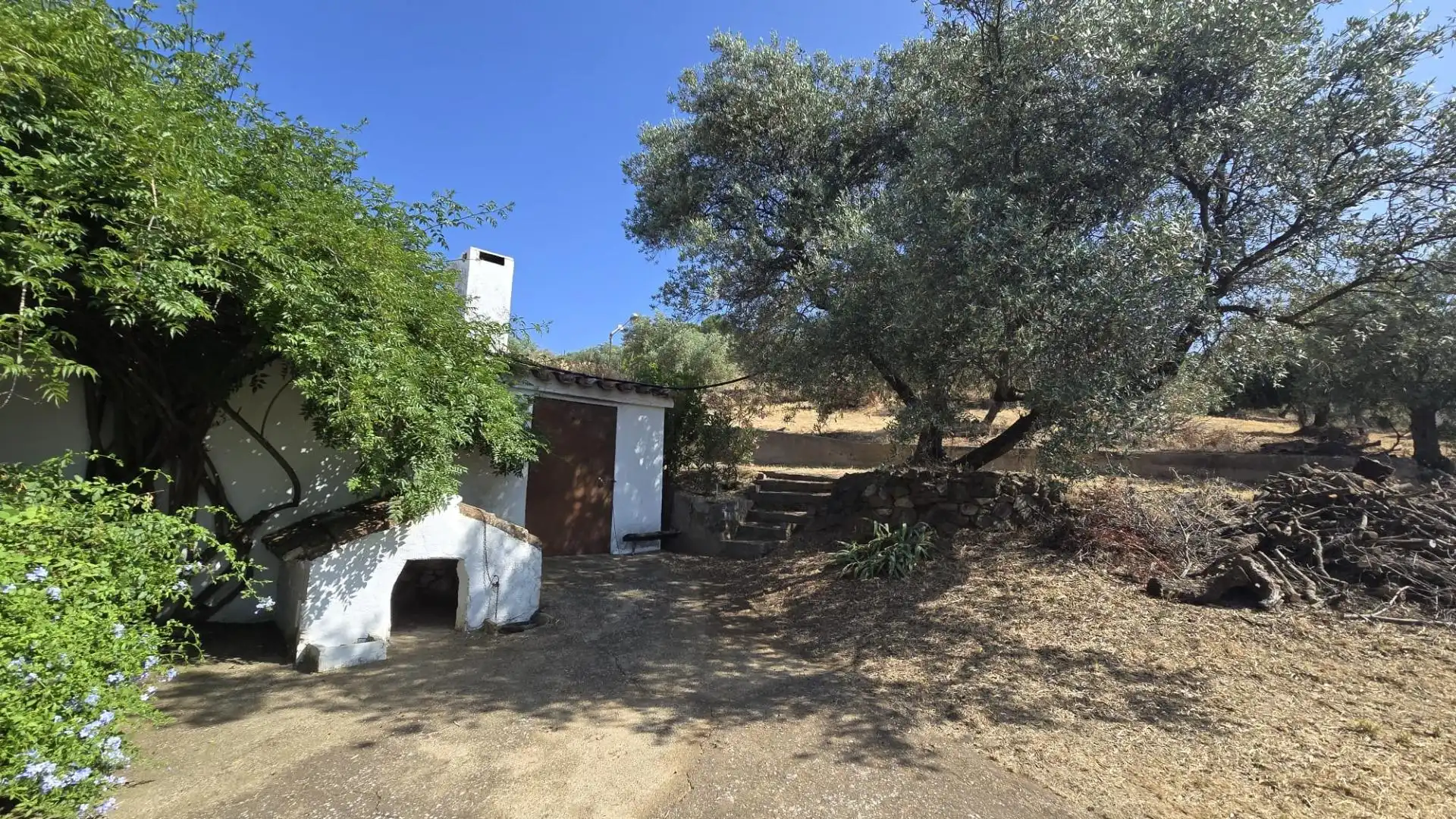 Jardín de Finca rústica en venta en Pozoblanco