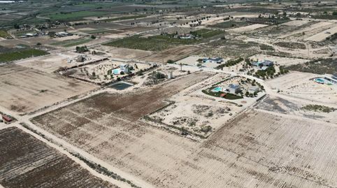 FANTASTICAS PARCELAS EN EL MOLAR ELCHEPresentamos cinco exclusivas parcelas de 10,000 mÂ cada una, situadas en la privilegiada zon, imatge 4