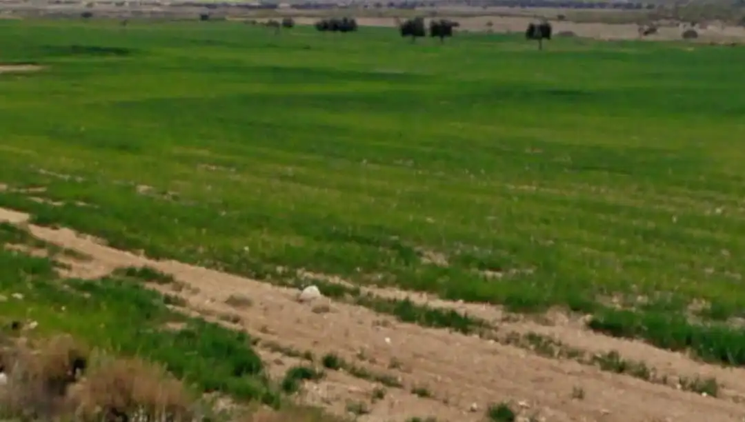 Terreno rustico in vendita a Pedanías Norte