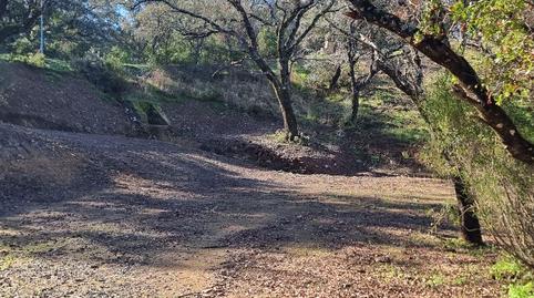 Photo 2 of Residential for sale in Calle el Ronquillo, 1, Los Lagos, Guillena