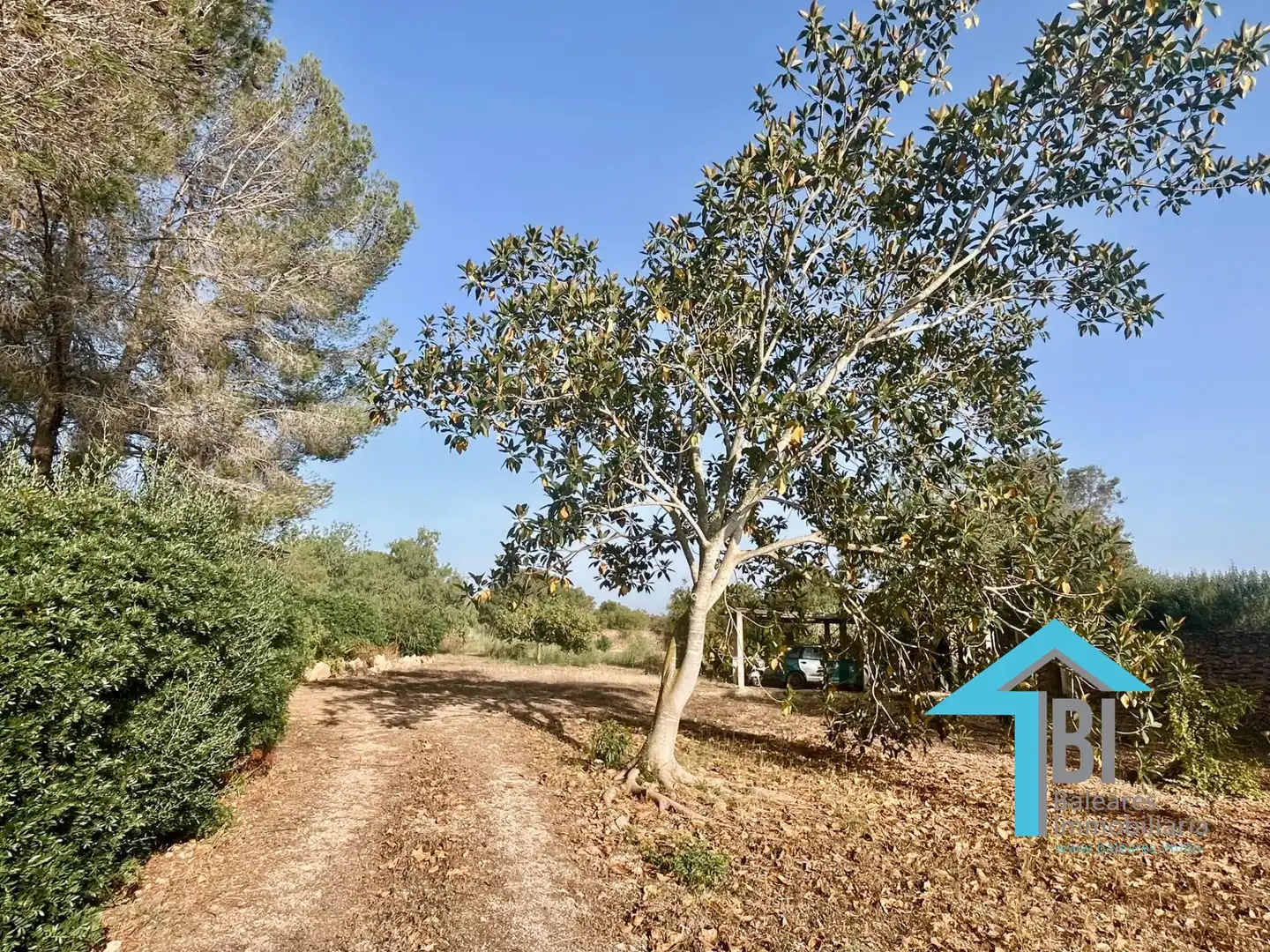 House with pool for sale in Llucmajor pueblo, imagen 34