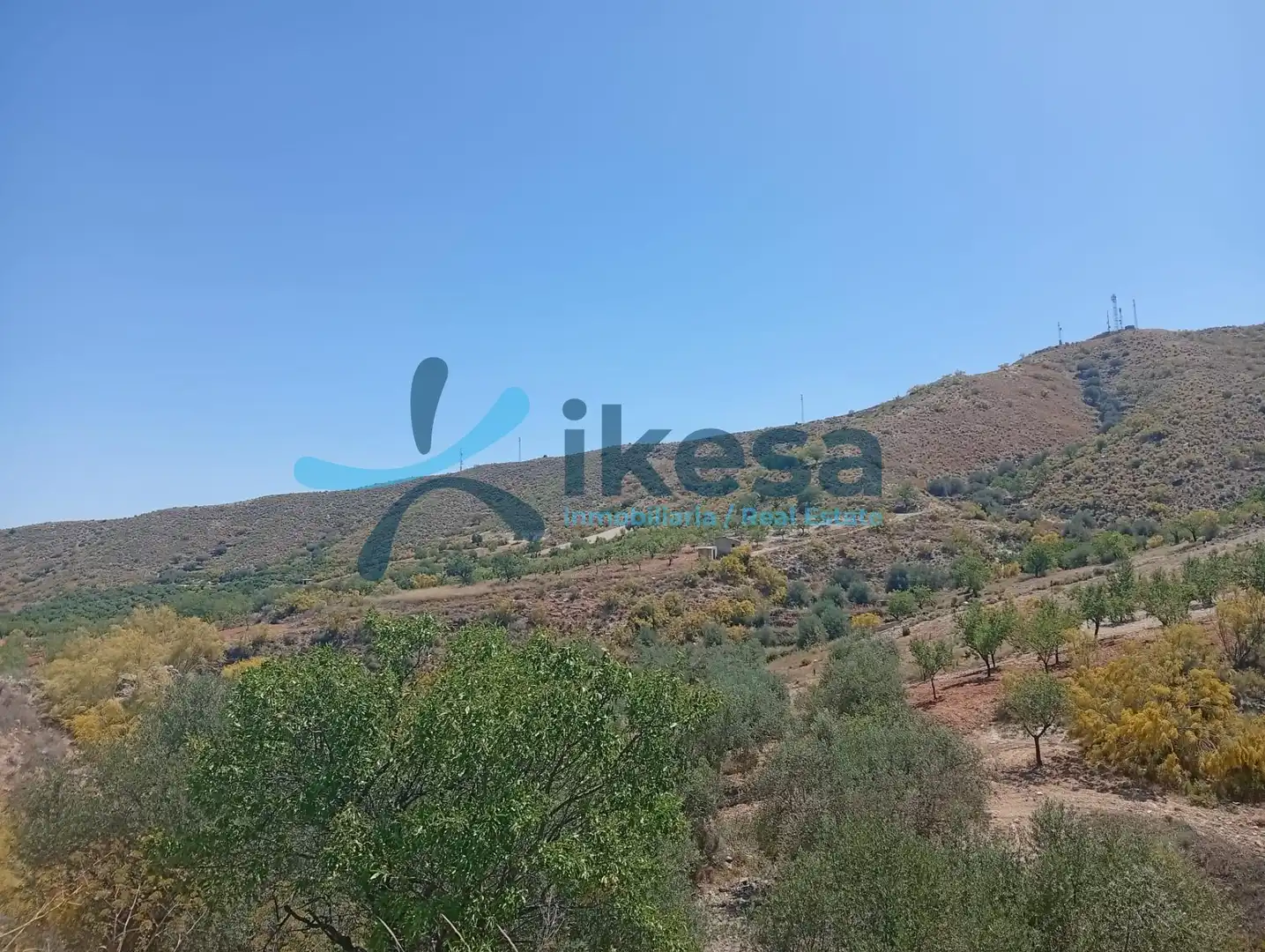 Lands and plots for sale in Cantoria, imagen 13