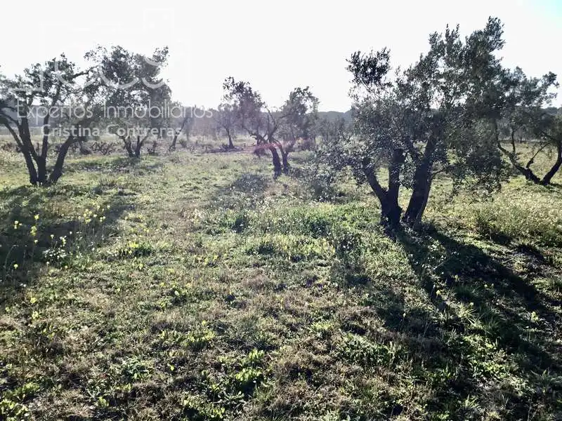 Finca rústica en venta en Almonte