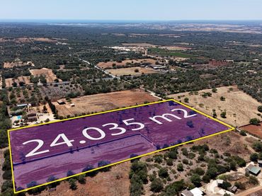 Terrenys i solars en venda a Camino Camí de ses Angoixes