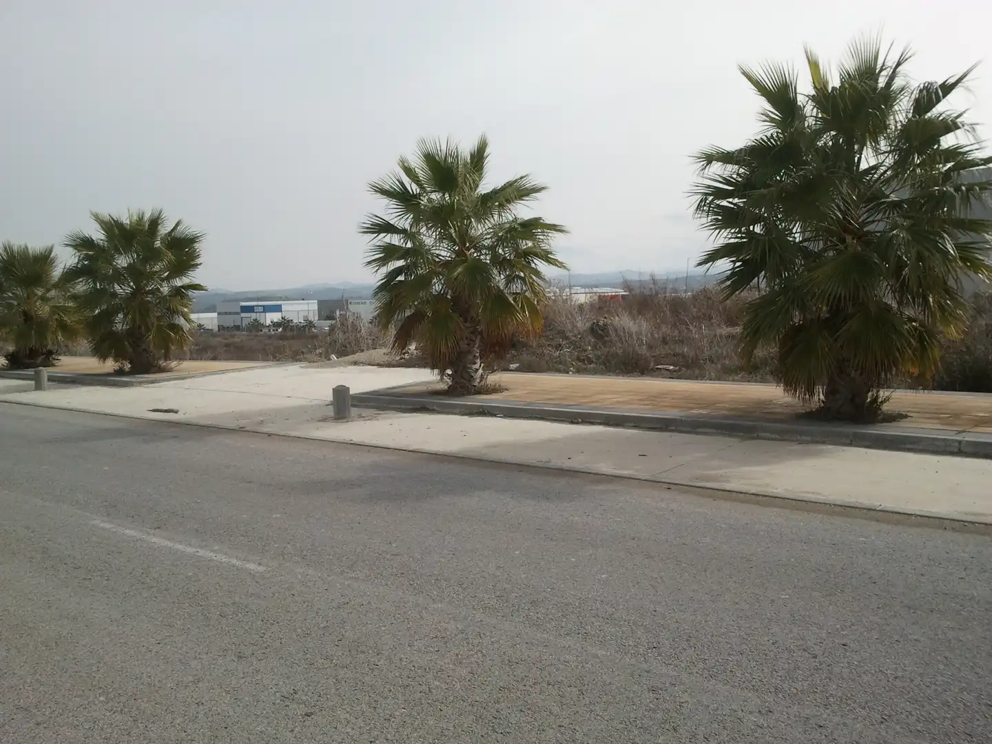 Terreni e lotti in vendita a Calle Beatriz Núñez, imagen 7