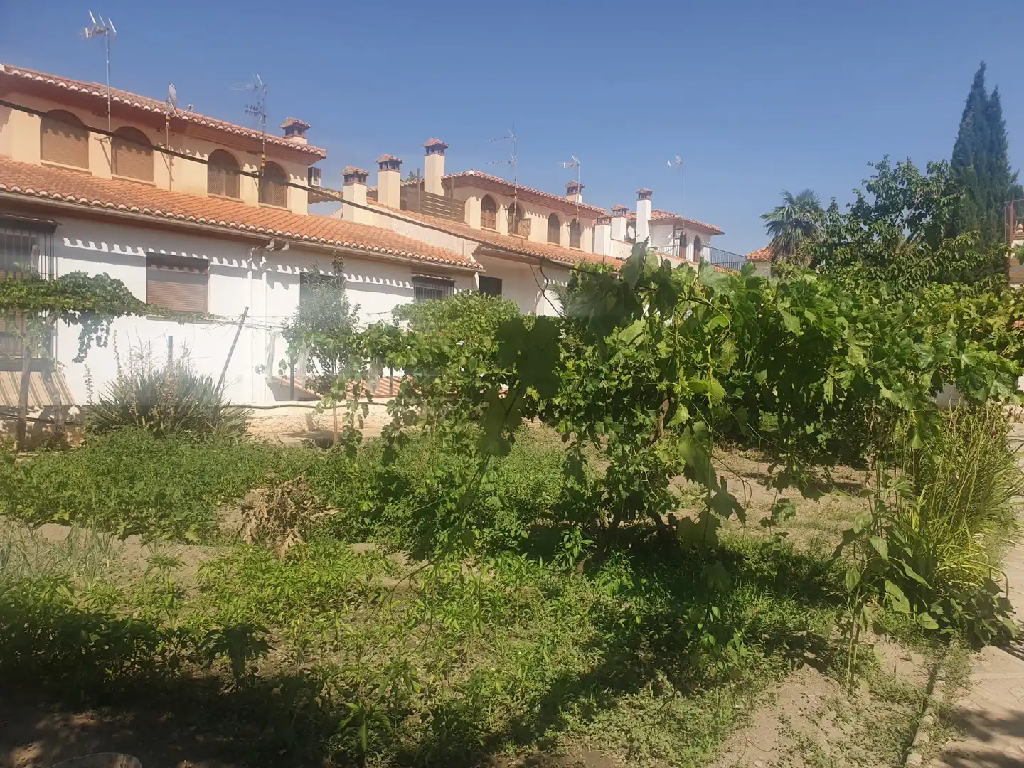 Casa o xalet en venda en Guadix amb Jardí privat i Terrassa