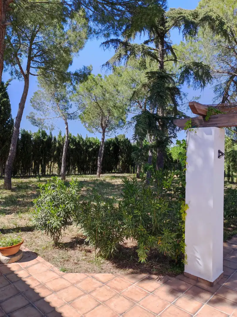 Jardín de Casa o chalet en venta en Ciudad Real con Aire acondicionado, Calefacción y Jardín privado