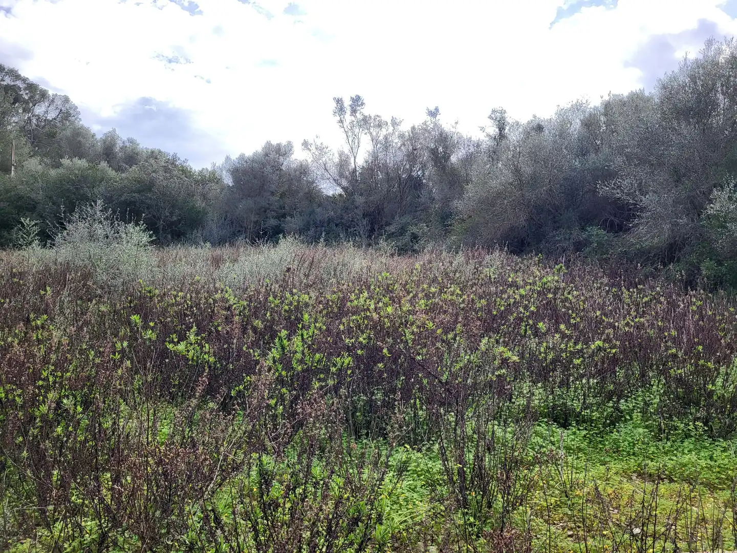 Residential for sale in Sant Joan