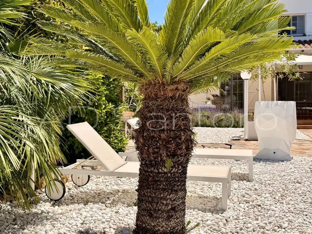 Jardí de Casa o xalet en venda en Sant Pere de Ribes