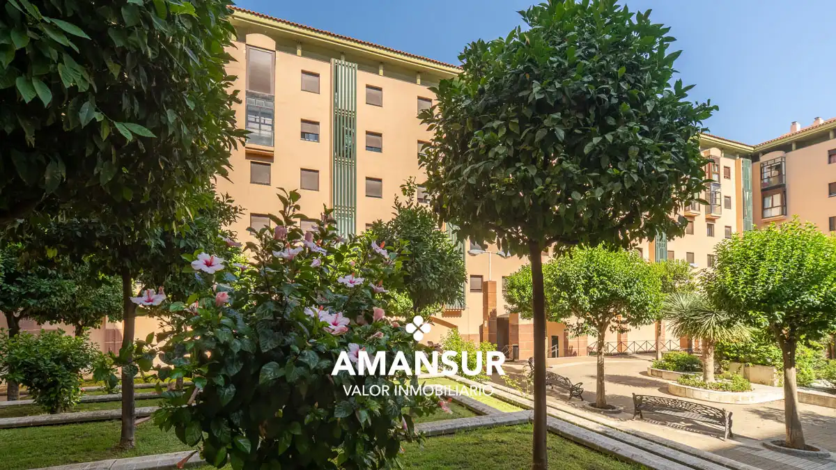 Flat with terrace for sale in Calle Emilio Molero, imagen 57