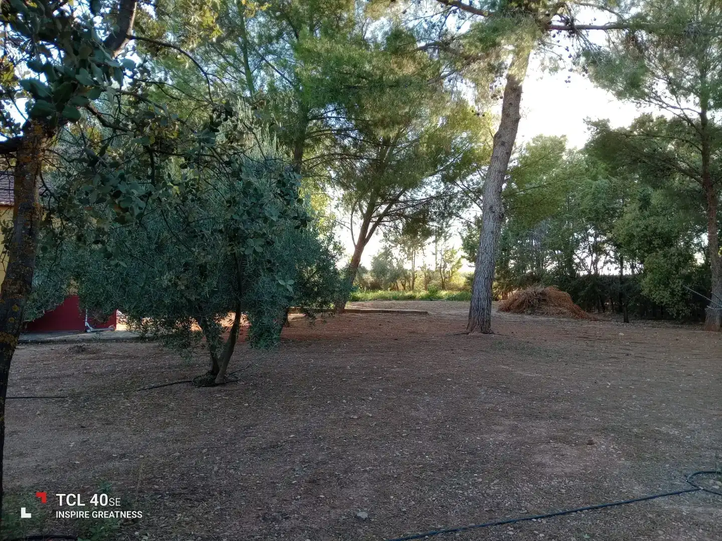 Casa o xalet en venda en Membrilla amb Aire condicionat, Jardí privat i Parquet