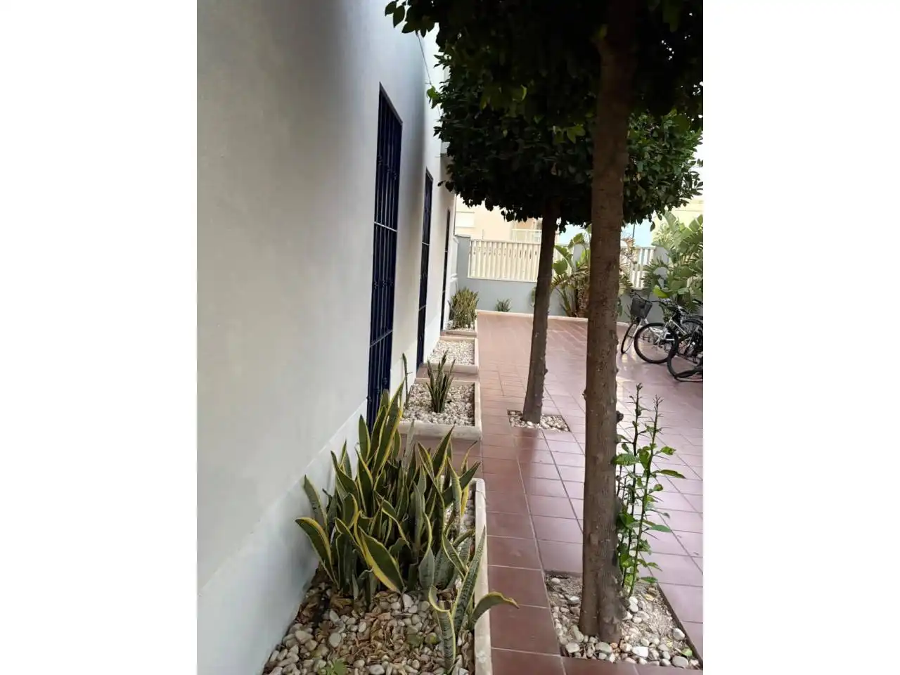 Jardín de Apartamento de alquiler en Daimús con Terraza y Piscina comunitaria