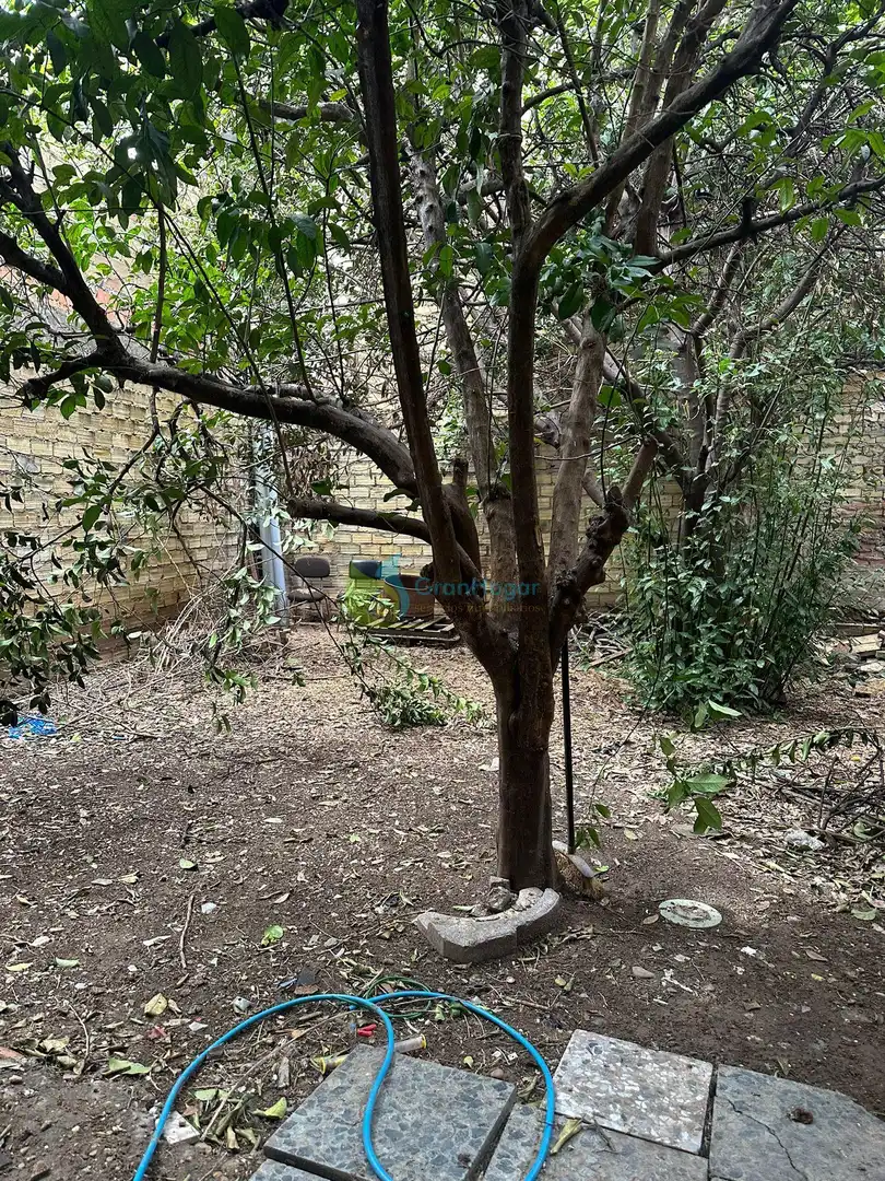 Jardín de Local en venta en Sevilla