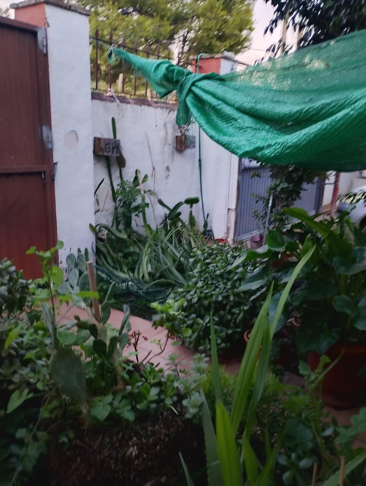 Garden of House or chalet for sale in Chiclana de la Frontera