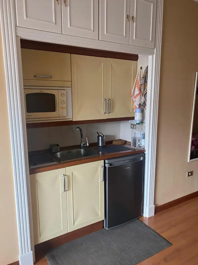Estudio en venta en Calle Aceviño, 6, Zona Botánico