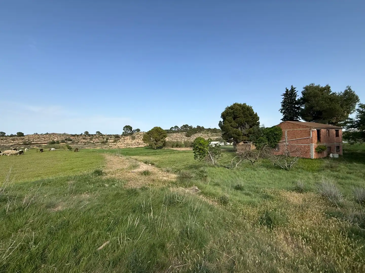 Terreni e lotti in vendita a Camino Capellán, imagen 33