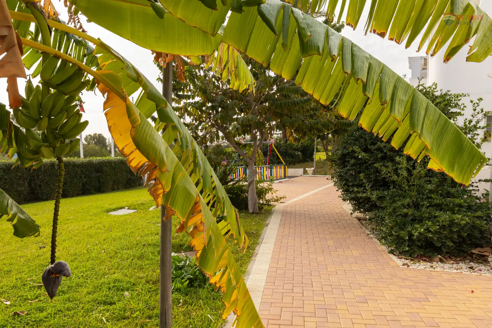 Apartment mit Pool zum Verkauf in Calle Vera Colina, imagen 31