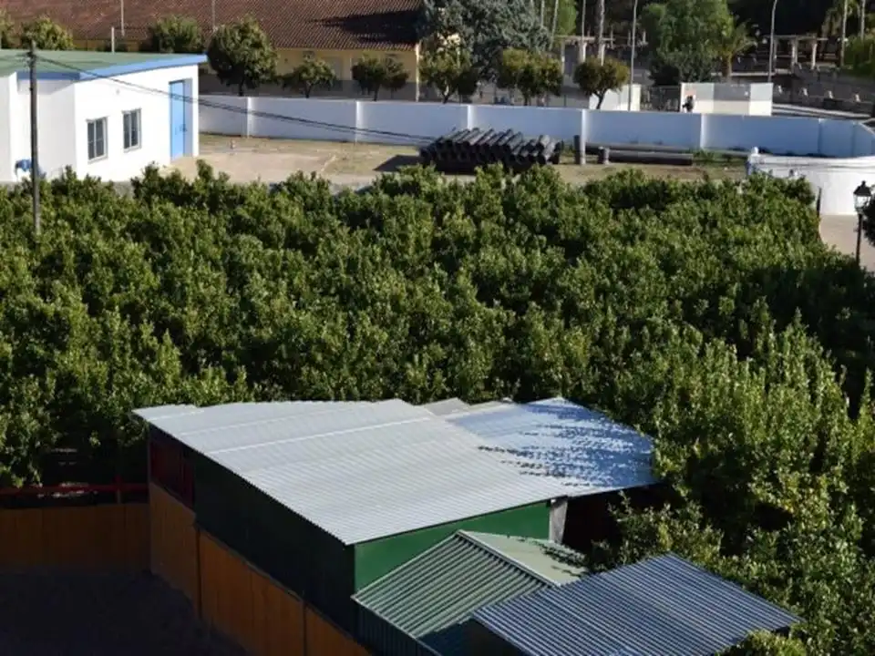 Residential land for sale in Els Poblets, imagen 6