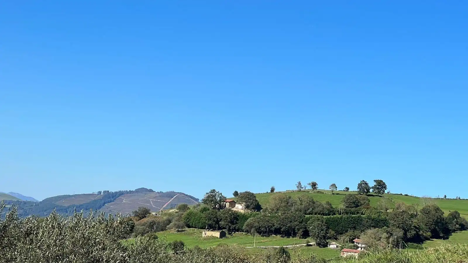 Vista exterior de Casa o chalet en venta en Saro con Jardín privado