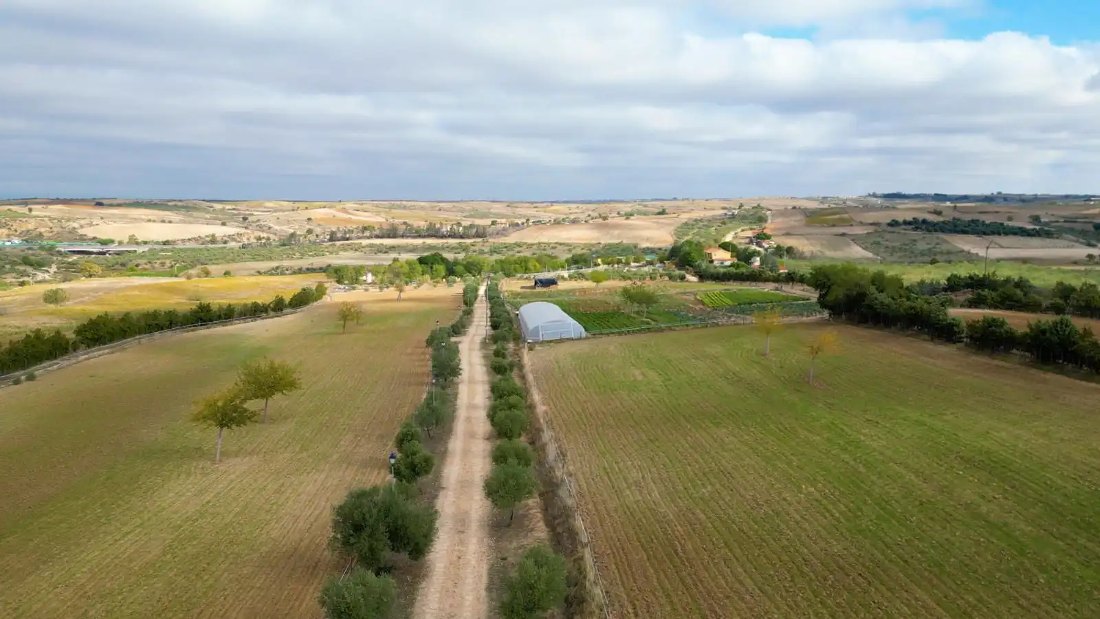 Grundstücke zum Verkauf in Olivares, Batres