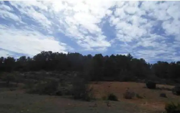 Terreno en venta en Liétor