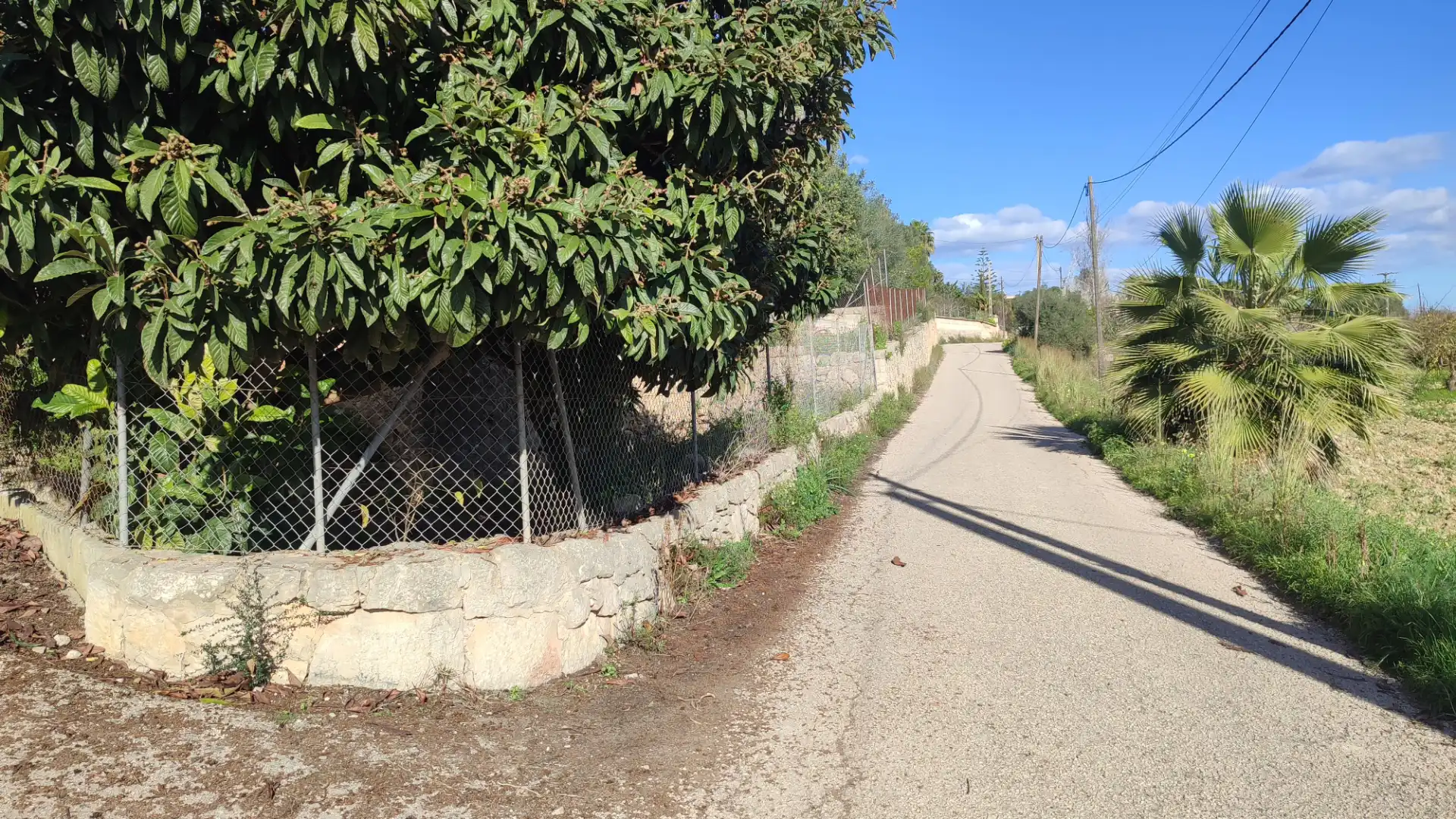 Rural land for sale in Vial Camino 316, imagen 15