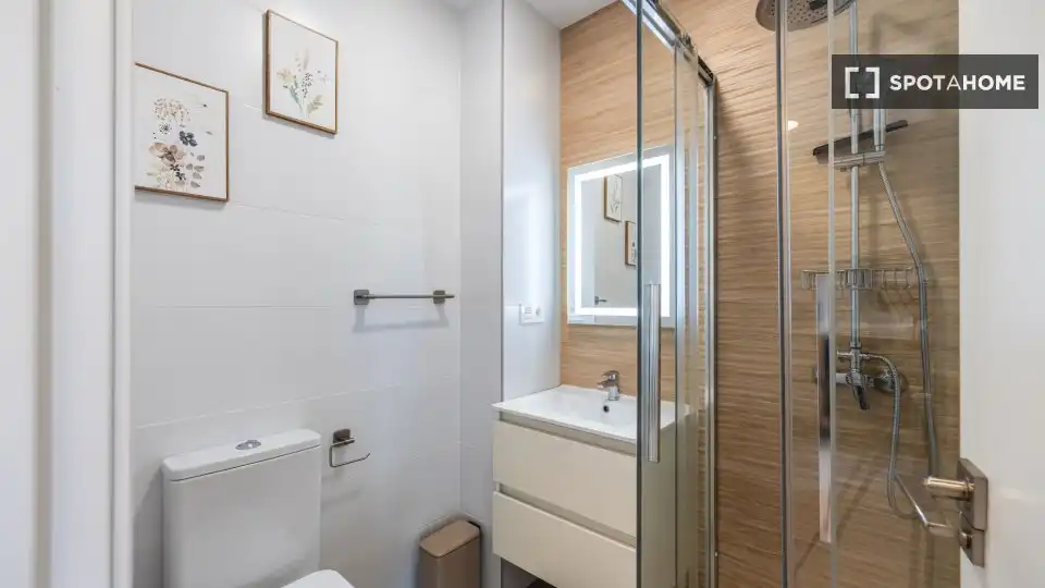Bathroom of Study for share in Elche / Elx  with Air Conditioner, Terrace and Furnished