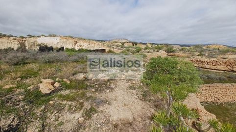 Photo 3 of Land for sale in Calle Pinito, 26, Los Blanquitos, Granadilla de Abona