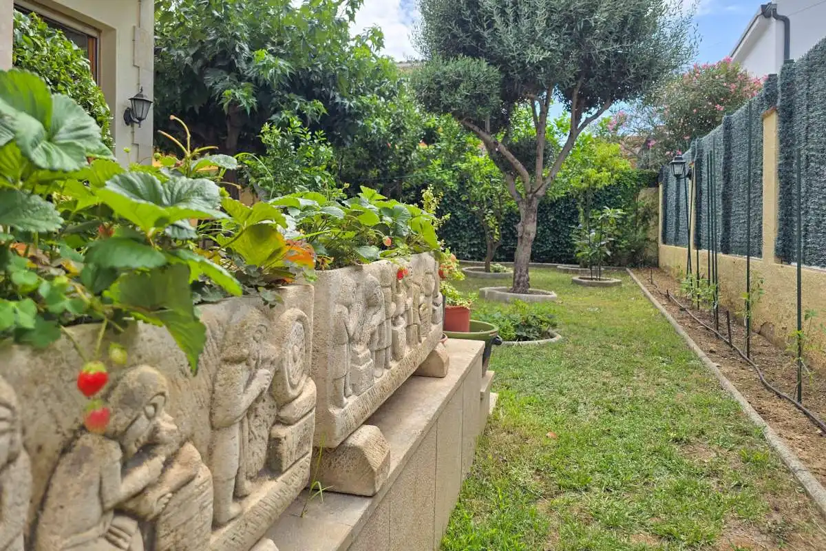 Jardí de Casa o xalet en venda en Roses amb Jardí privat