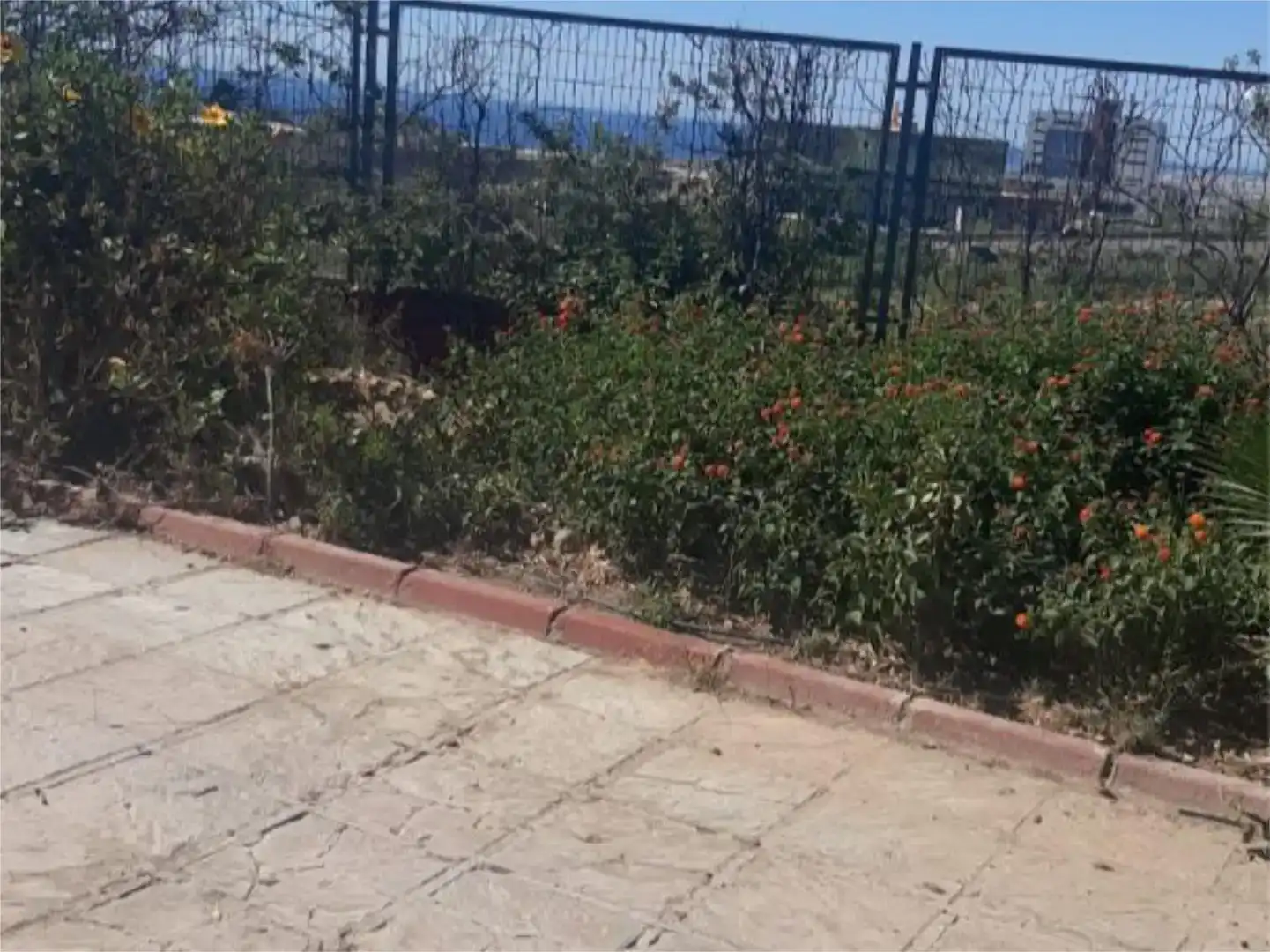 Piso en venta en Roquetas de Mar con Aire acondicionado, Jardín privado y Piscina