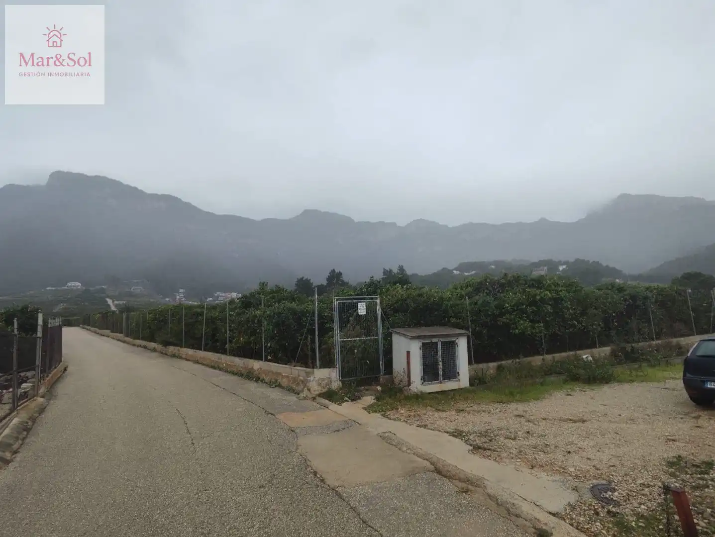 Terreny rústic en venda a Llaurí, imagen 6