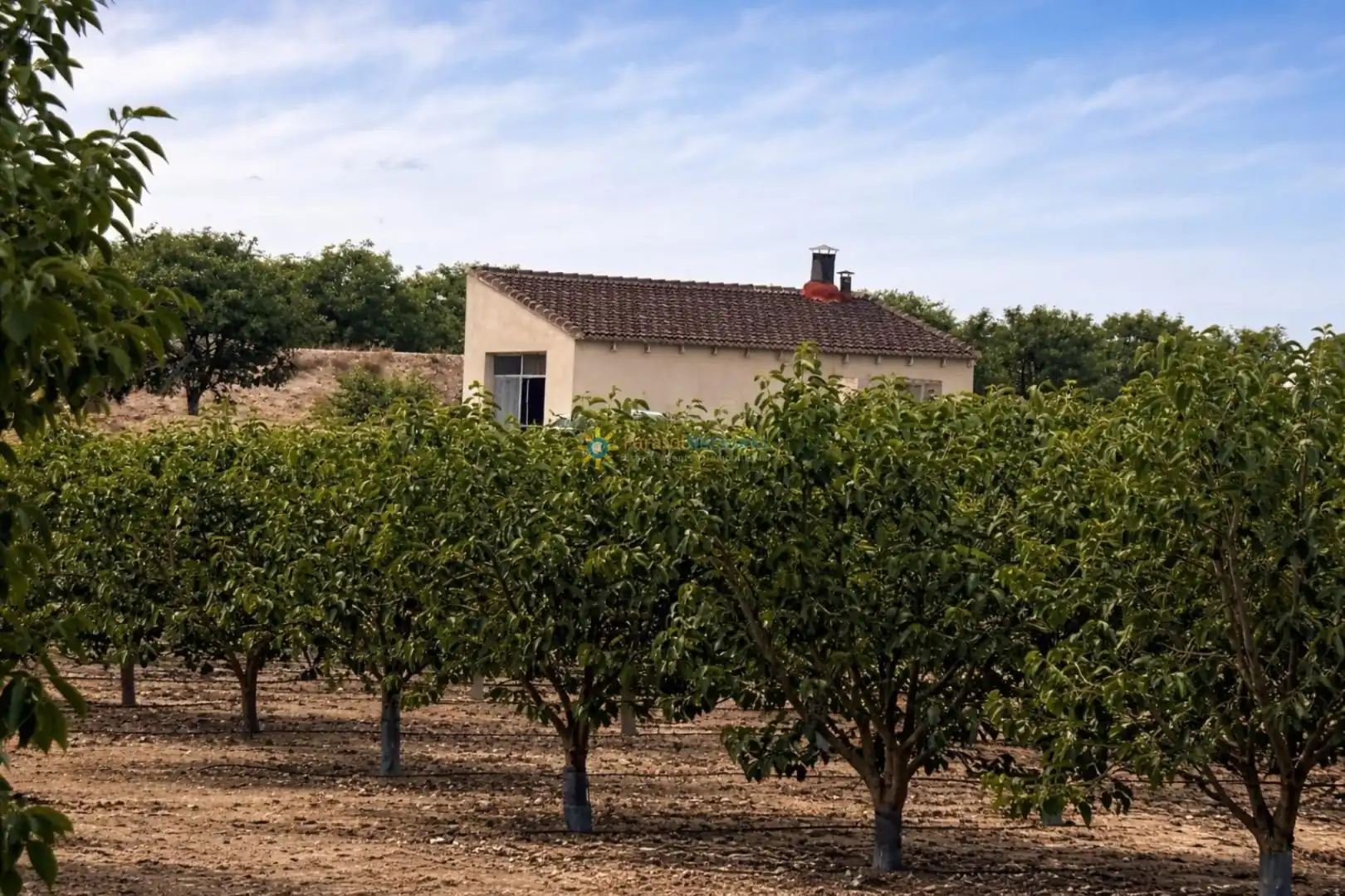 Finca rústica en venda en Benigànim amb Traster