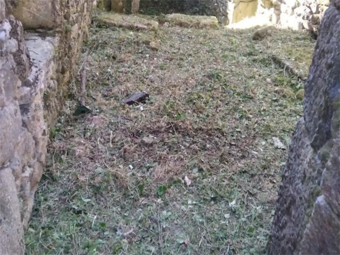 Pis en venda en Cerdedo