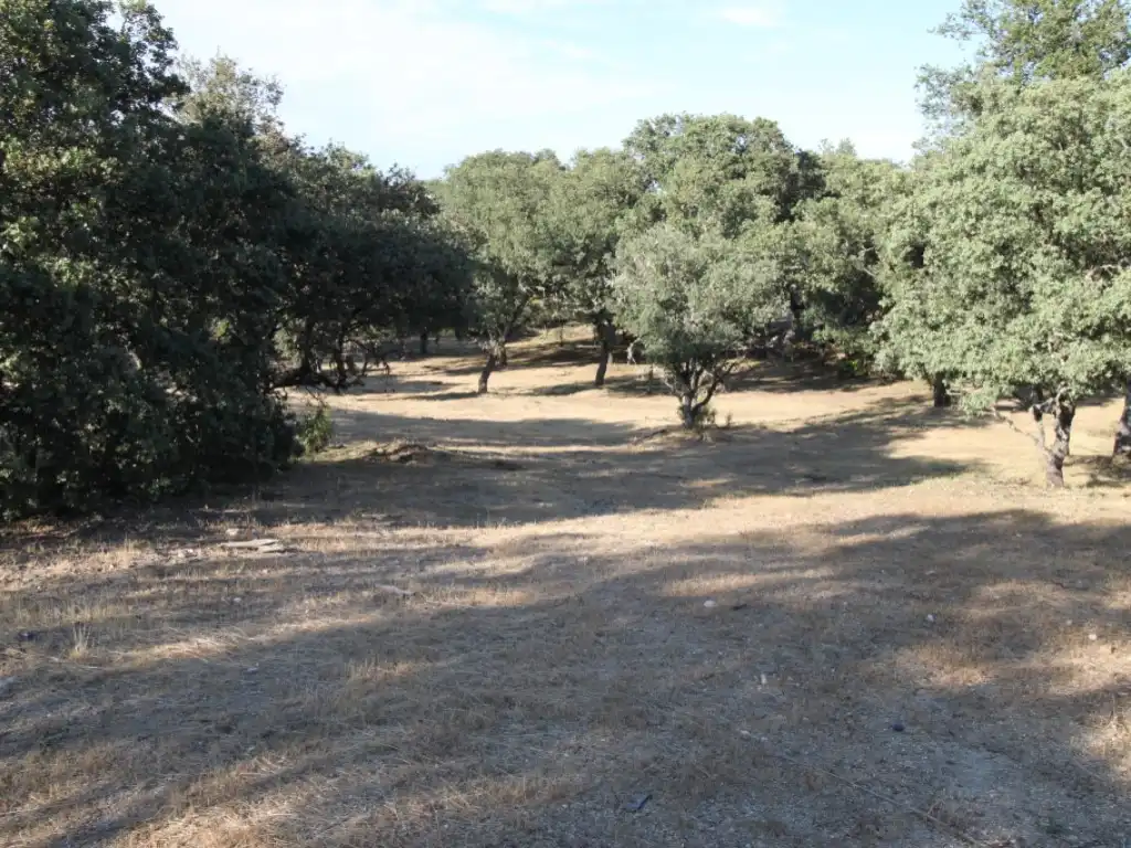 Residential land for sale in Ciudalcampo, imagen 2