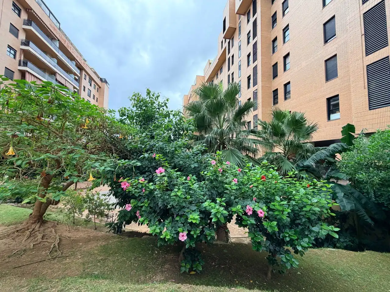 Vista exterior de Piso de alquiler en Gandia con Amueblado, TV y Balcón