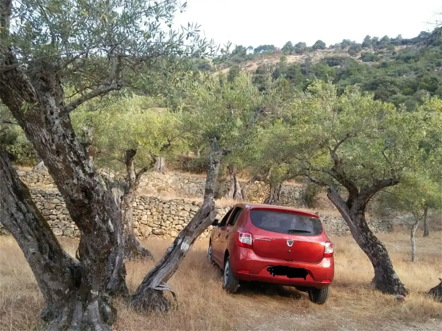 Parking de Terreno en venta en Pedro Bernardo