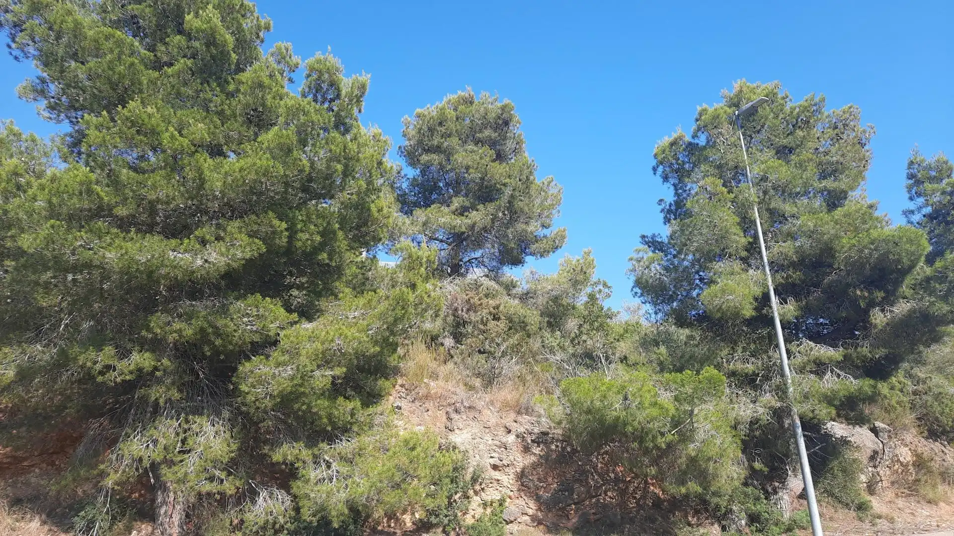 Terrenys i solars en venda a Segur de Dalt, imagen 5
