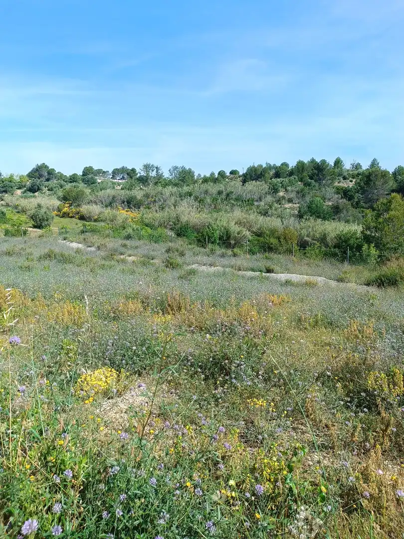 Terreno residencial en venta en Sant Esteve Sesrovires, imagen 10
