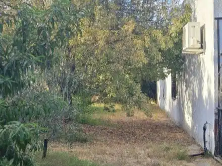 Casa rústica amb piscina en venda a Callejon de La Dehesa 385, imagen 38