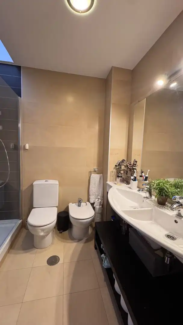 Bathroom of Houses for sale in Sevilla  with Air Conditioner, Terrace and Storage room