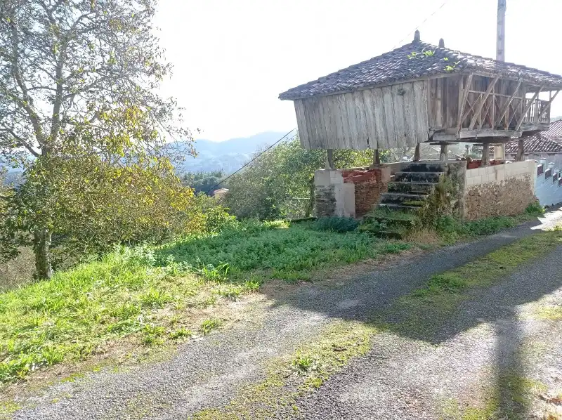 Maison à vendre à Salas, imagen 4