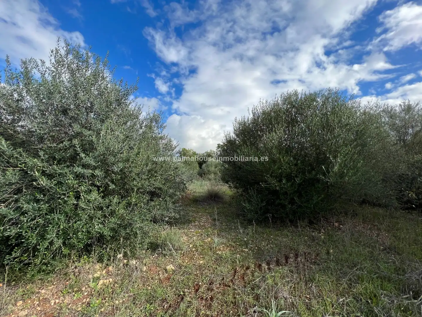 Residencial en venta en Algaida