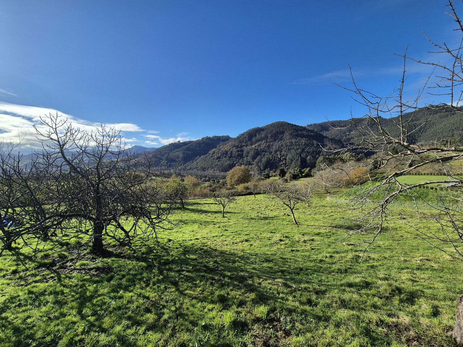 Exterior view of Residential for sale in Candamo