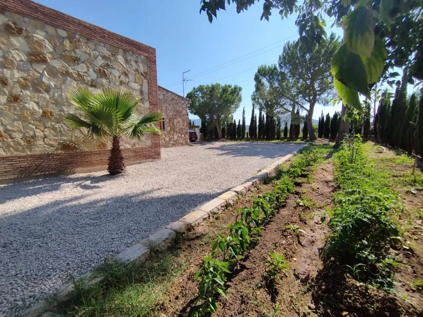 Casa rústica en venta en Eucaliptus- Poble Nou del Delta, imagen 7