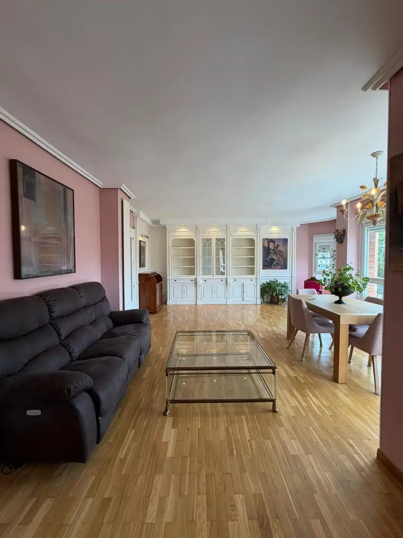 Sala de estar de Piso de alquiler en Madrid con Aire acondicionado, Calefacción y Parquet